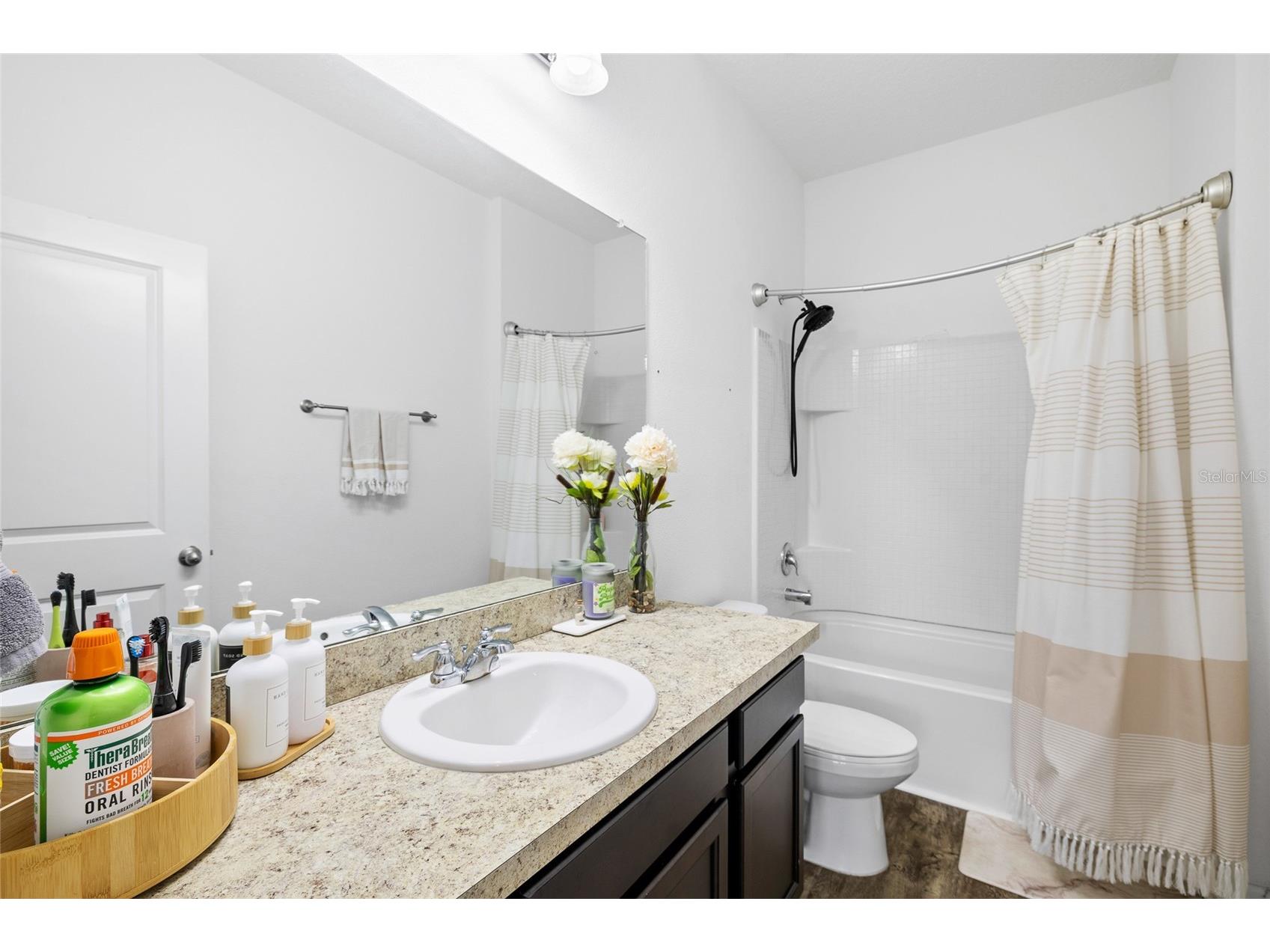 5534 Turkey Creek Way Lakeland FL 33811 TB8477749 image22