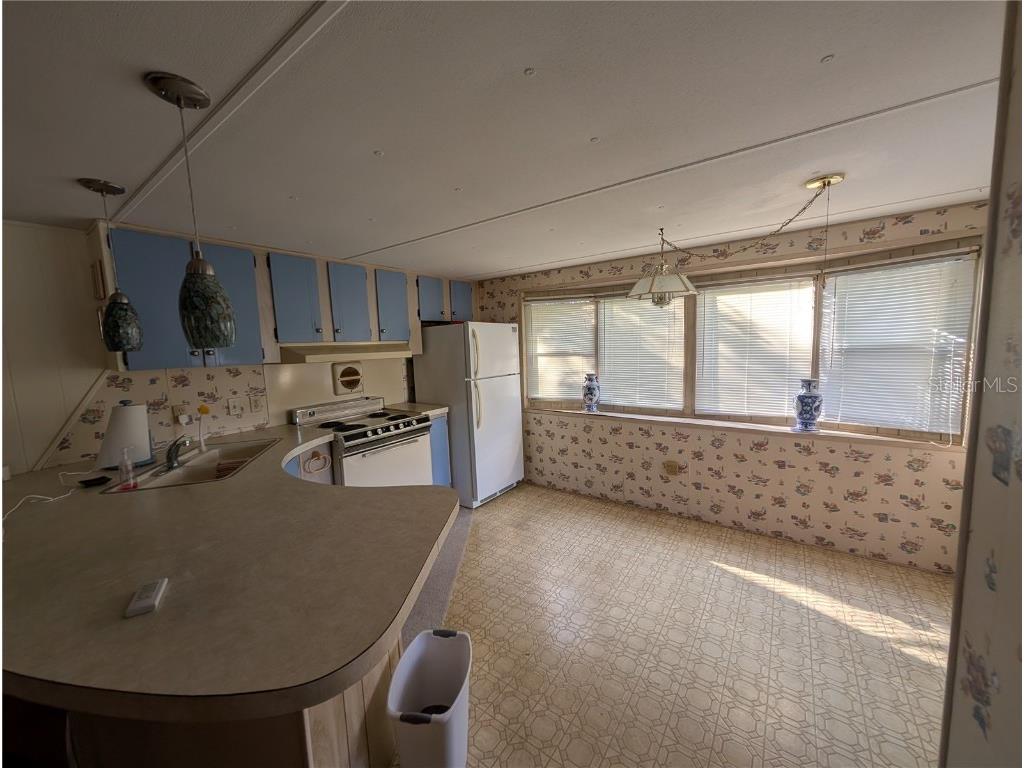 5535 Bethany Loop Zephyrhills FL 33542 TB8453810 image8