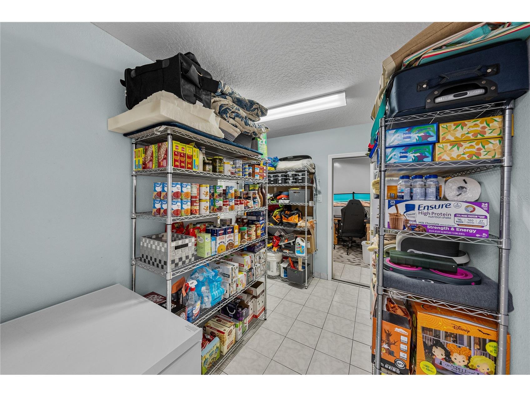 5535 Braddock Drive Zephyrhills FL 33541 TB8480415 image47