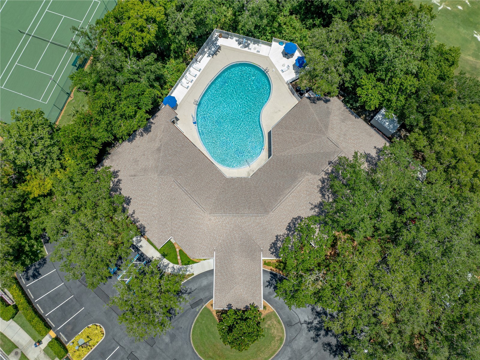 5535 Braddock Drive Zephyrhills FL 33541 TB8480415 image60