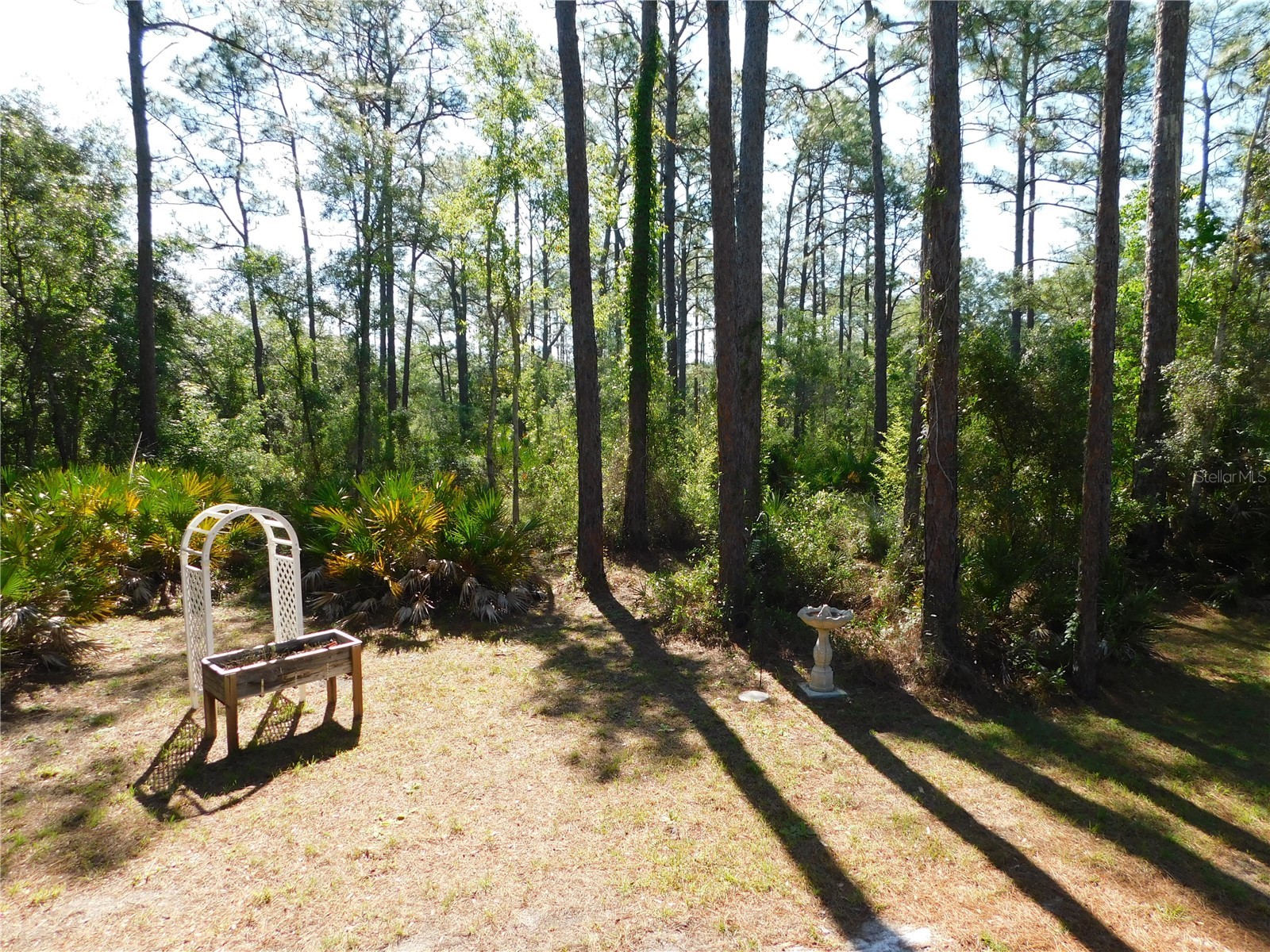 5535 S Will Point Homosassa FL 34446 OM725333 image27