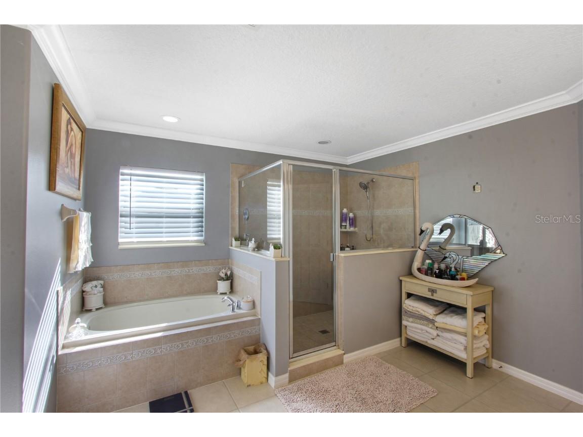 5536 Ansley Way Mount Dora FL 32757 O6363765 image23