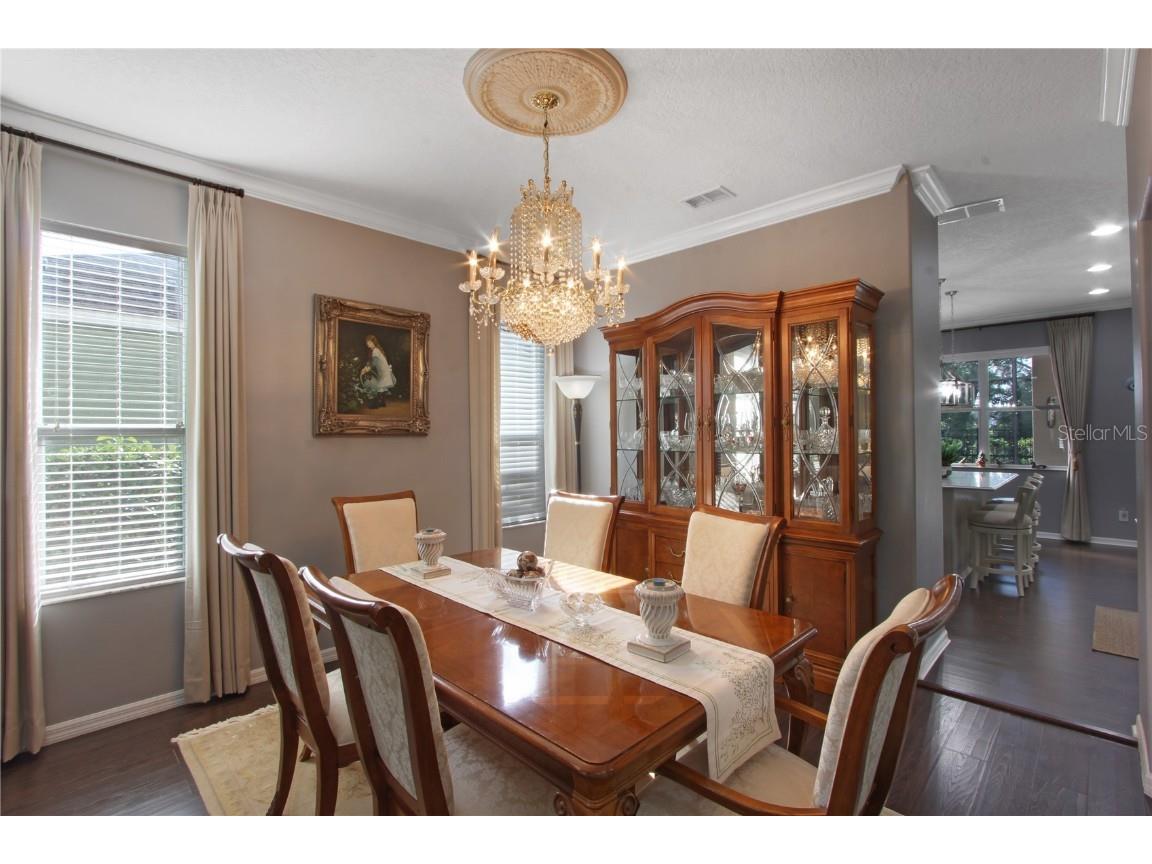 5536 Ansley Way Mount Dora FL 32757 O6363765 image4