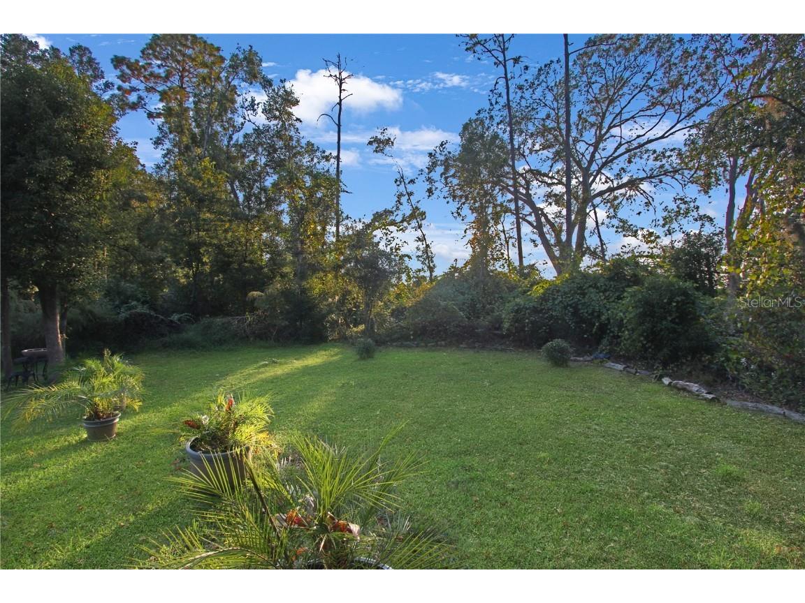 5536 Ansley Way Mount Dora FL 32757 O6363765 image45