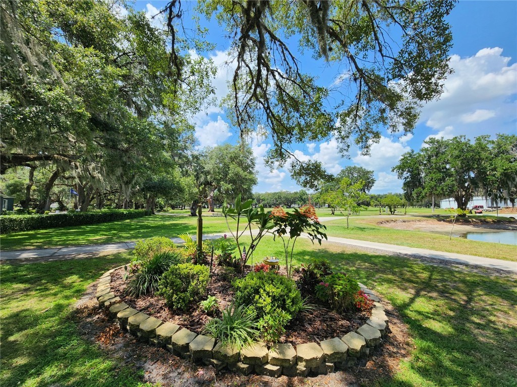 5536 Benton Street Zephyrhills FL 33542 TB8439560 image35