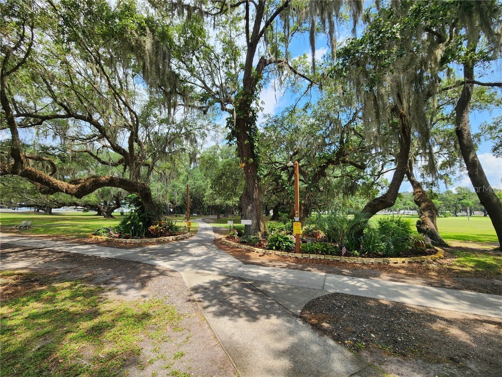5536 Benton Street Zephyrhills FL 33542 TB8439560 image36