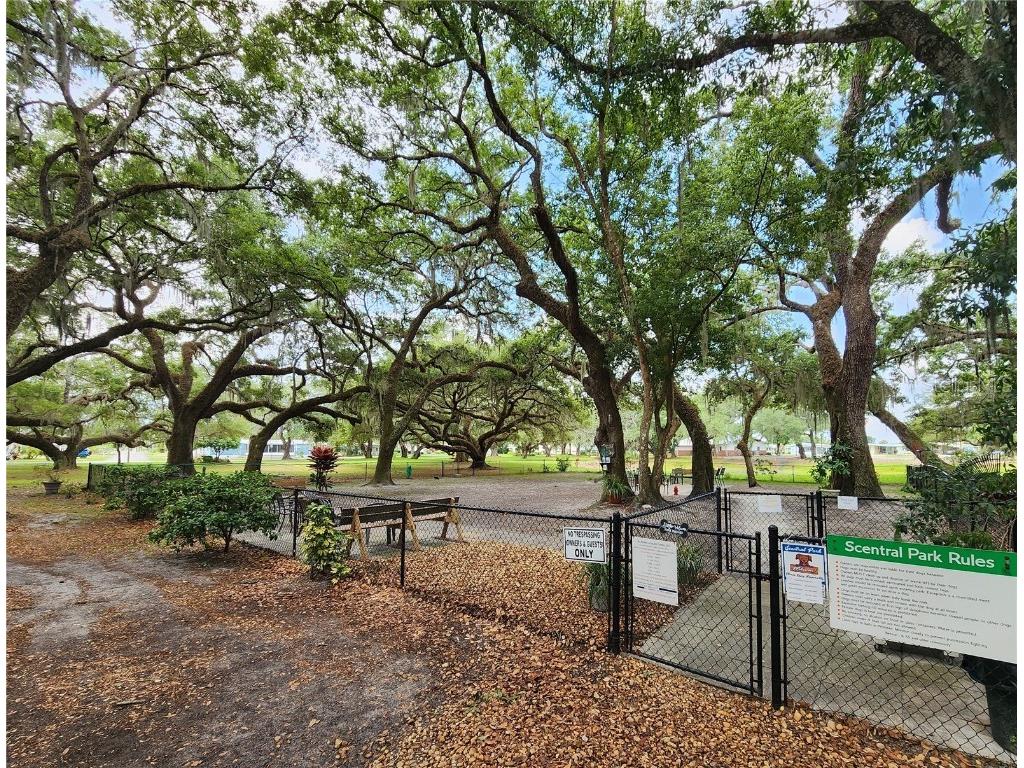 5536 Benton Street Zephyrhills FL 33542 TB8439560 image37