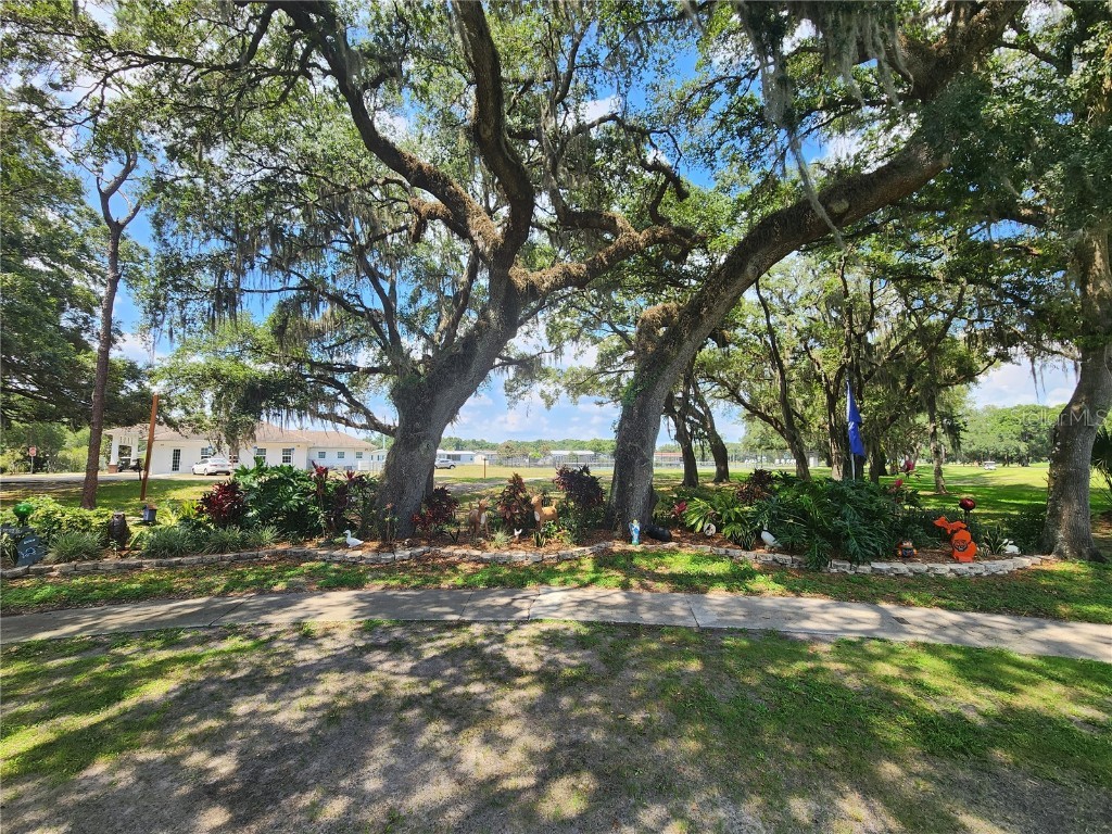 5536 Benton Street Zephyrhills FL 33542 TB8439560 image51