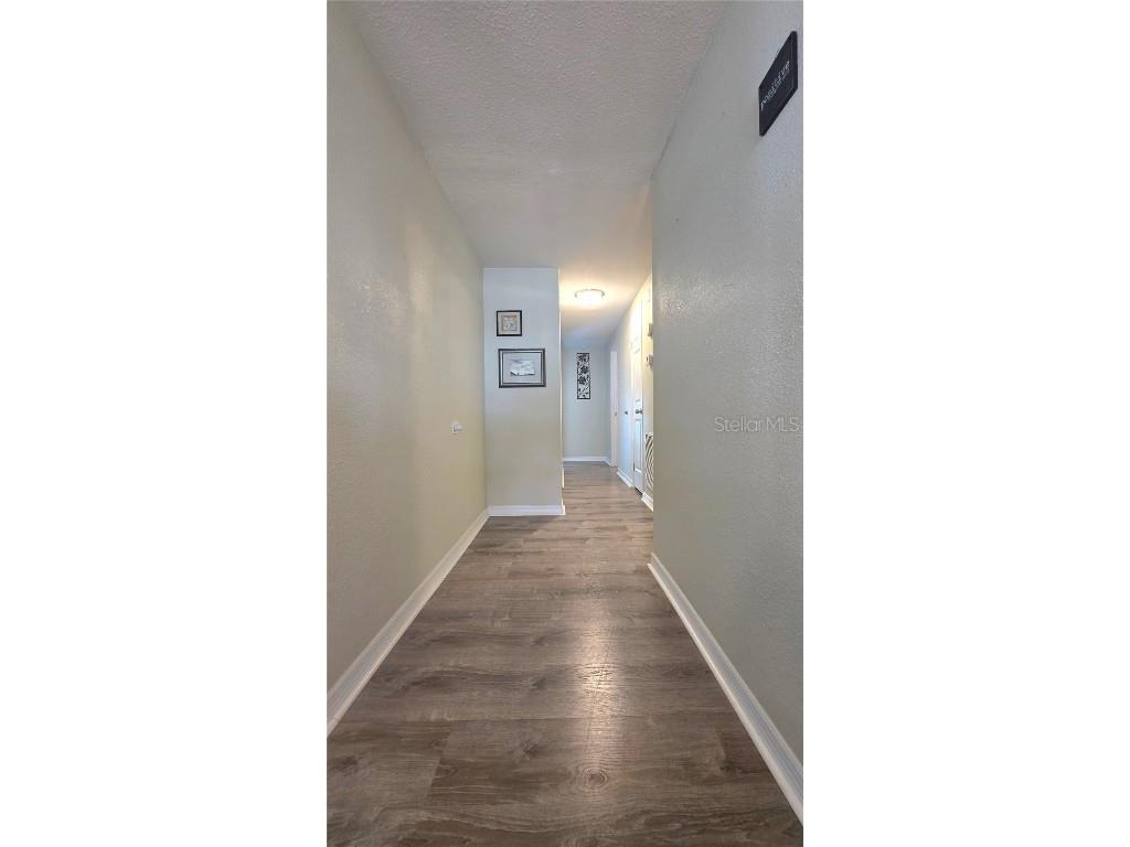 5536 Betmar Drive Zephyrhills FL 33542 TB8410999 image35