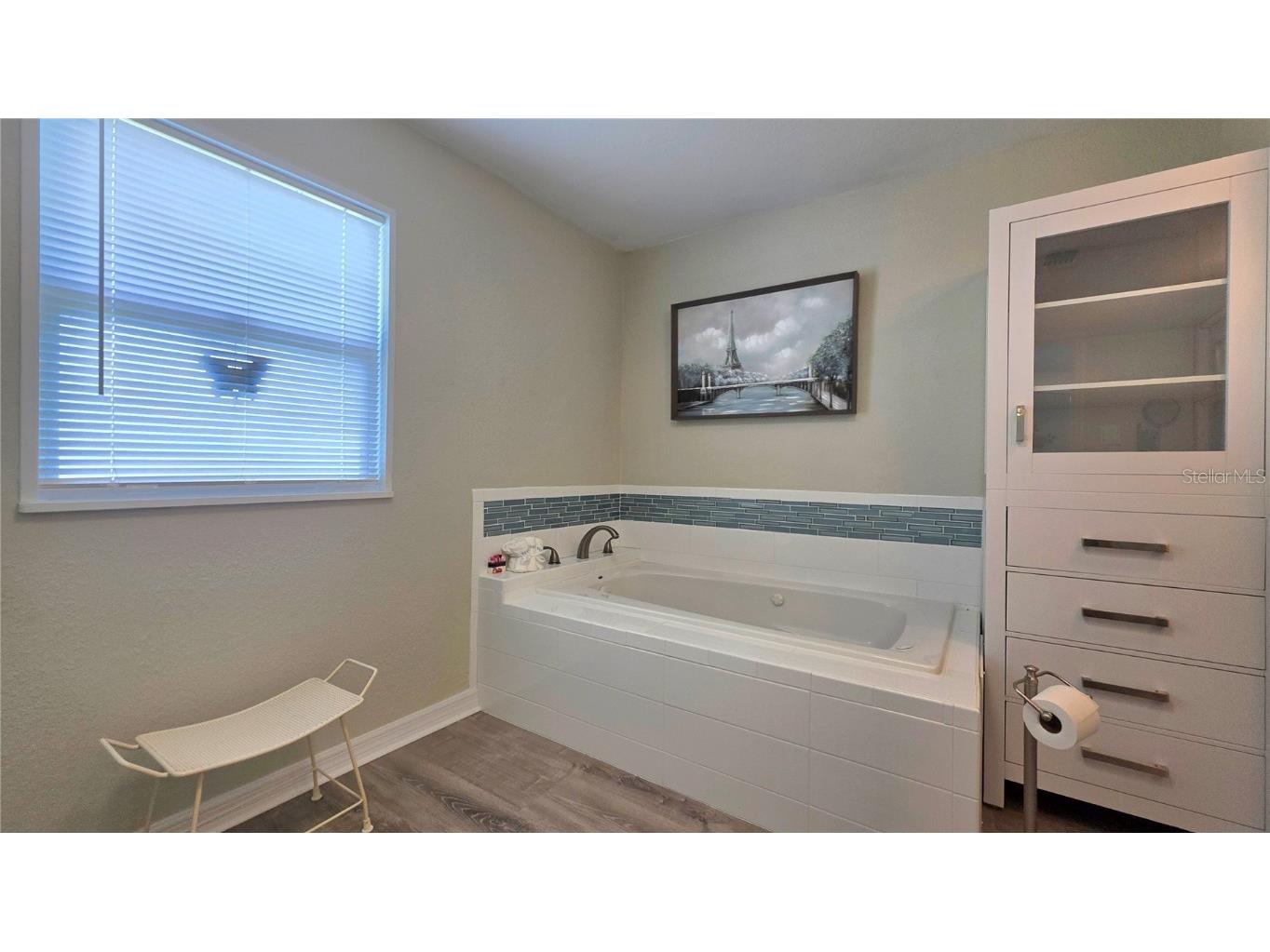 5536 Betmar Drive Zephyrhills FL 33542 TB8410999 image50