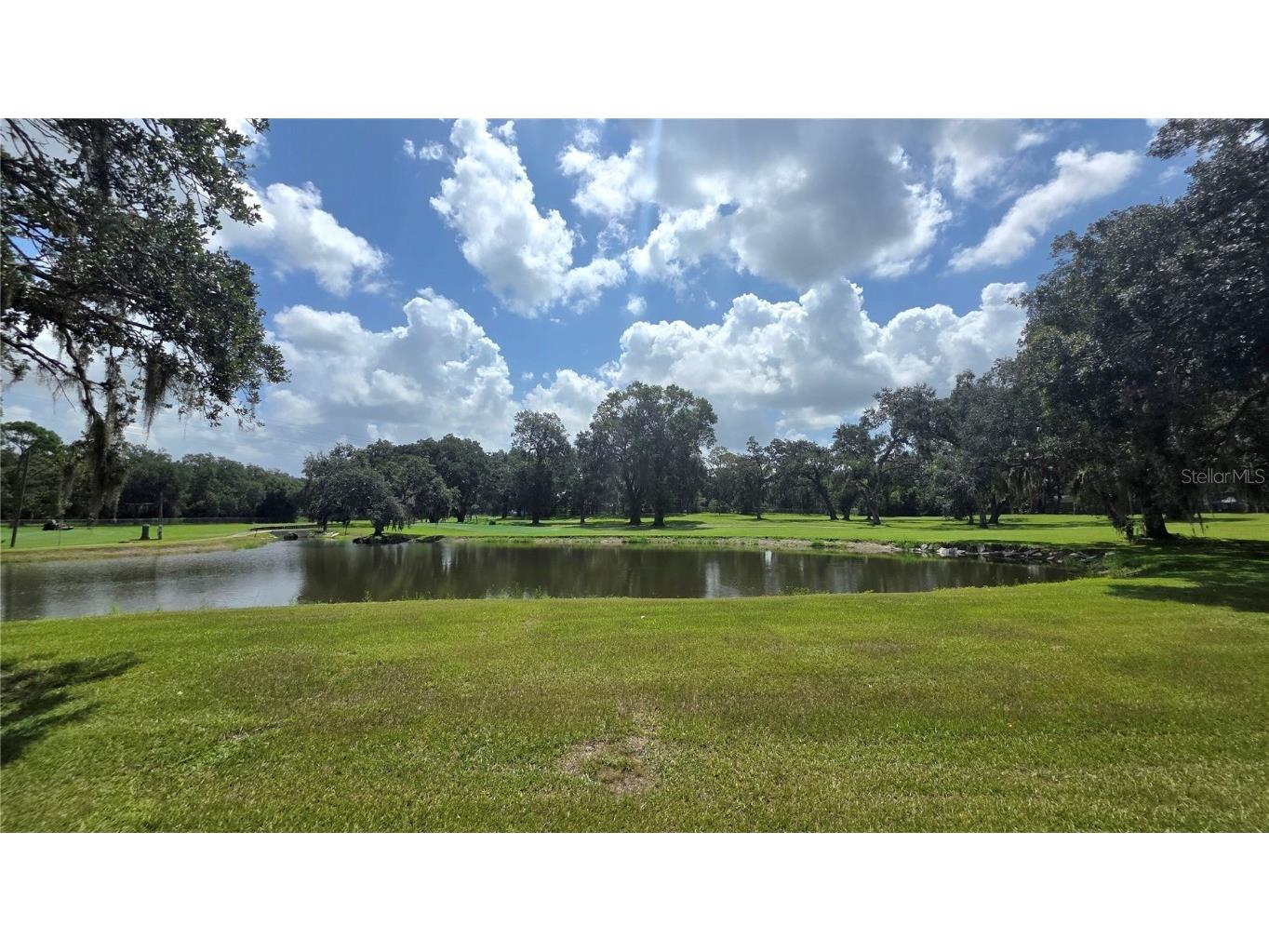 5536 Betmar Drive Zephyrhills FL 33542 TB8410999 image8