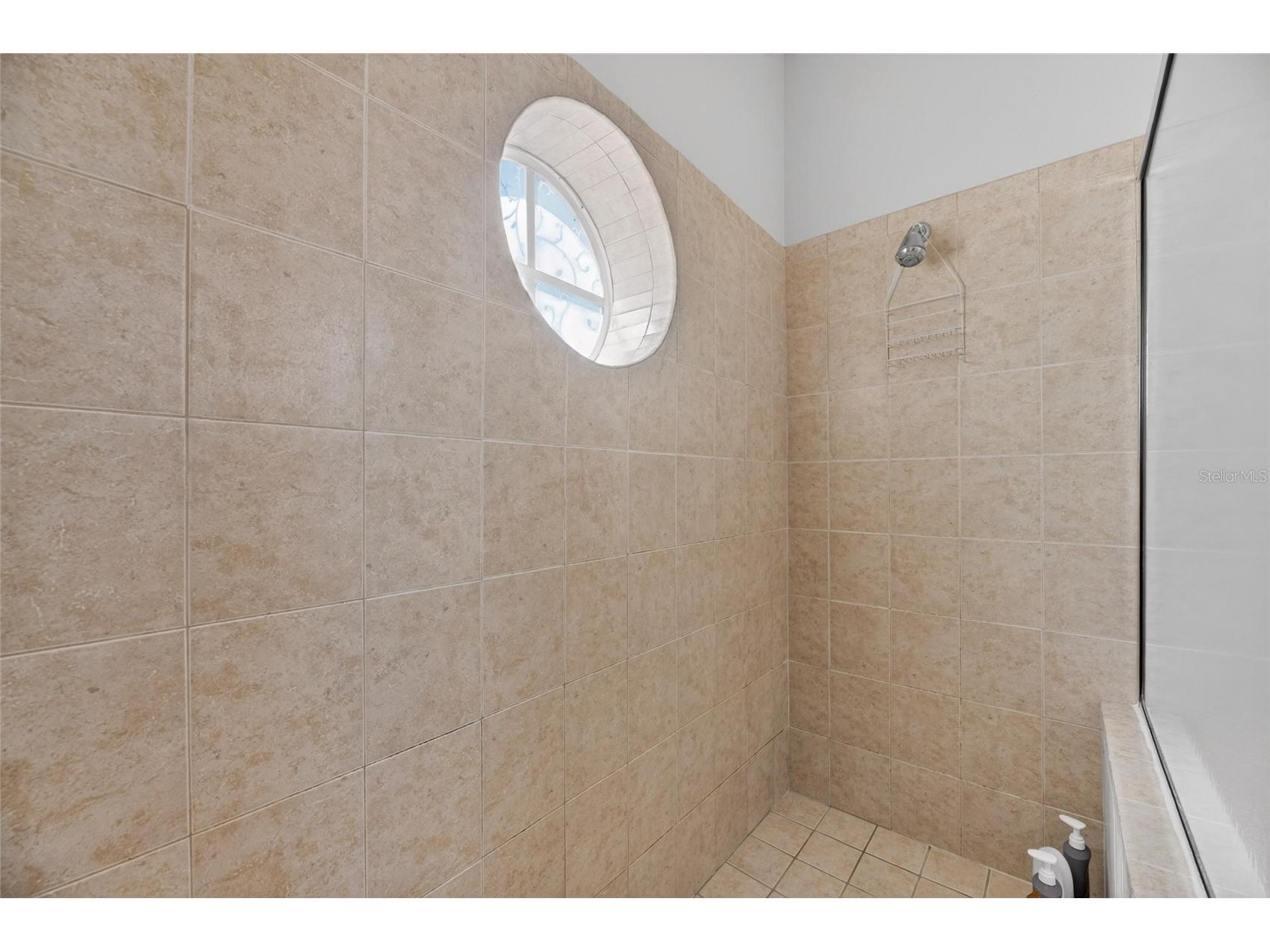 5536 Luminar Pointe Lane Apollo Beach FL 33572 TB8496417 image40