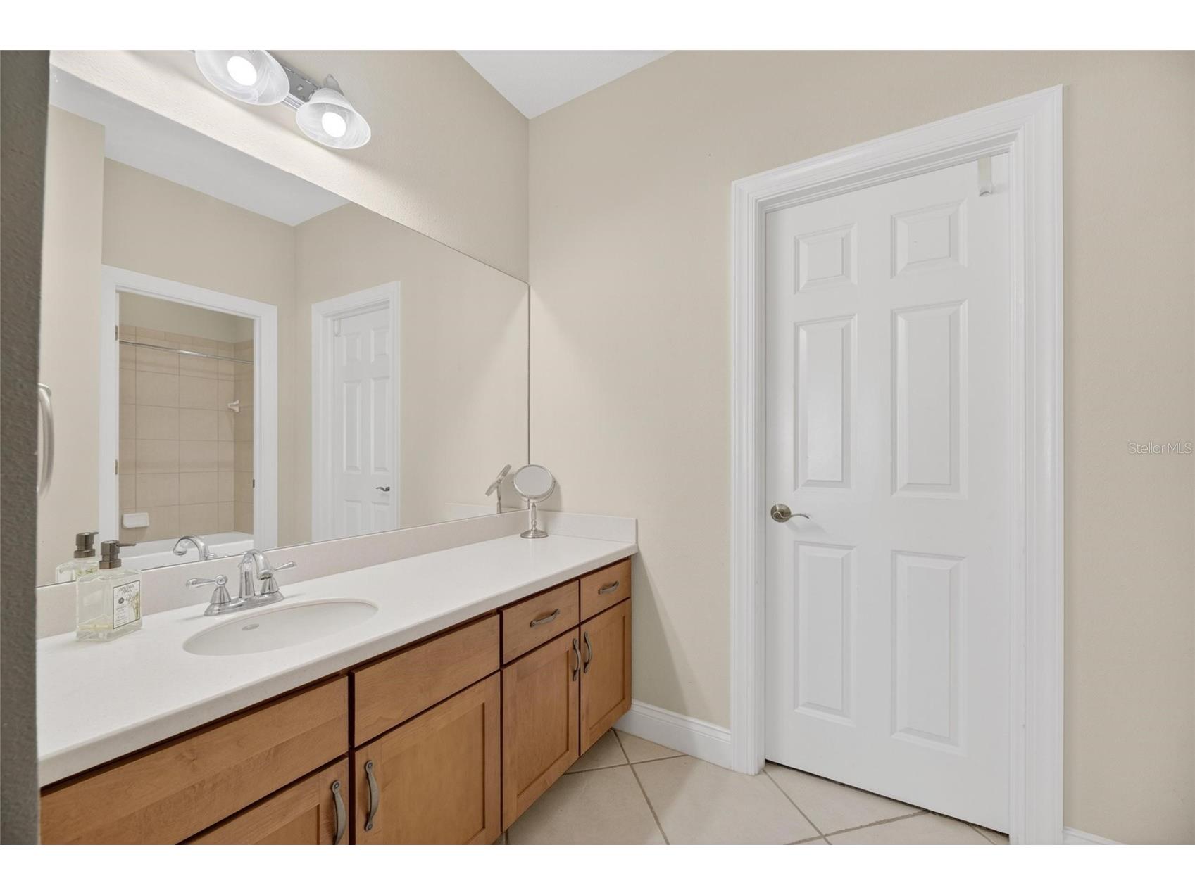 5536 Luminar Pointe Lane Apollo Beach FL 33572 TB8496417 image59