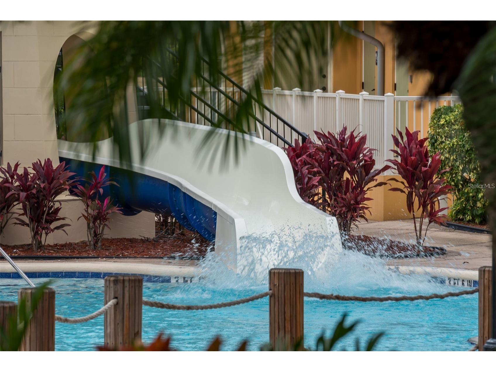 5536 Luminar Pointe Lane Apollo Beach FL 33572 TB8496417 image83