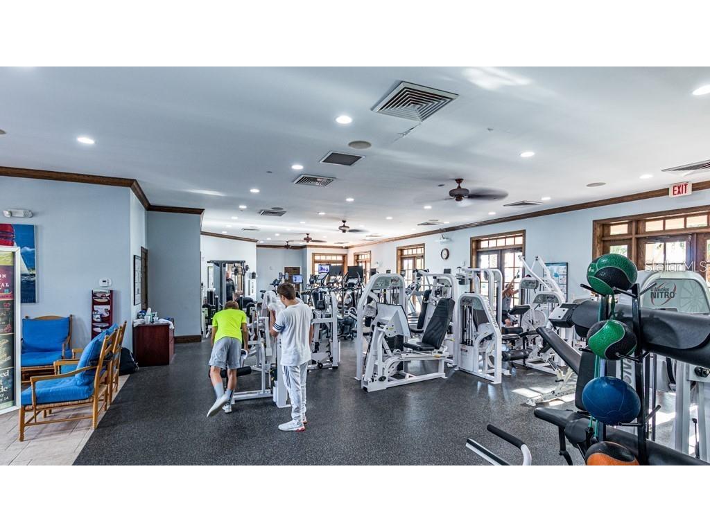 5536 Luminar Pointe Lane Apollo Beach FL 33572 TB8496417 image86