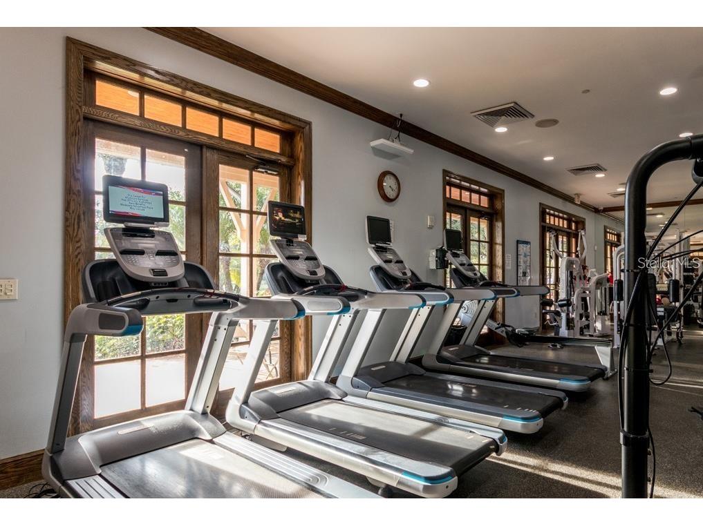 5536 Luminar Pointe Lane Apollo Beach FL 33572 TB8496417 image87