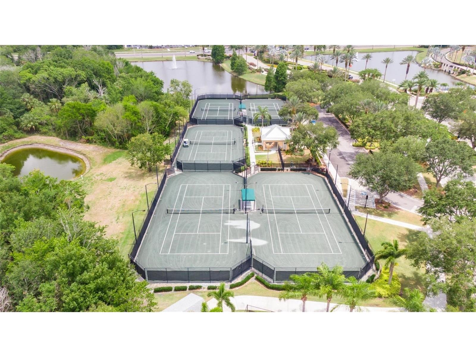 5536 Luminar Pointe Lane Apollo Beach FL 33572 TB8496417 image90