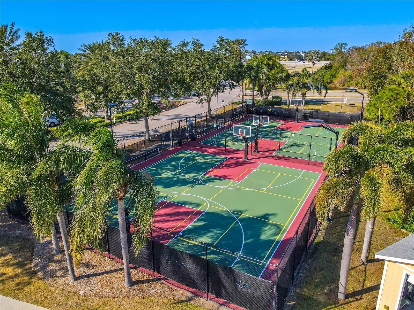 5536 Luminar Pointe Lane Apollo Beach FL 33572 TB8496417 image92
