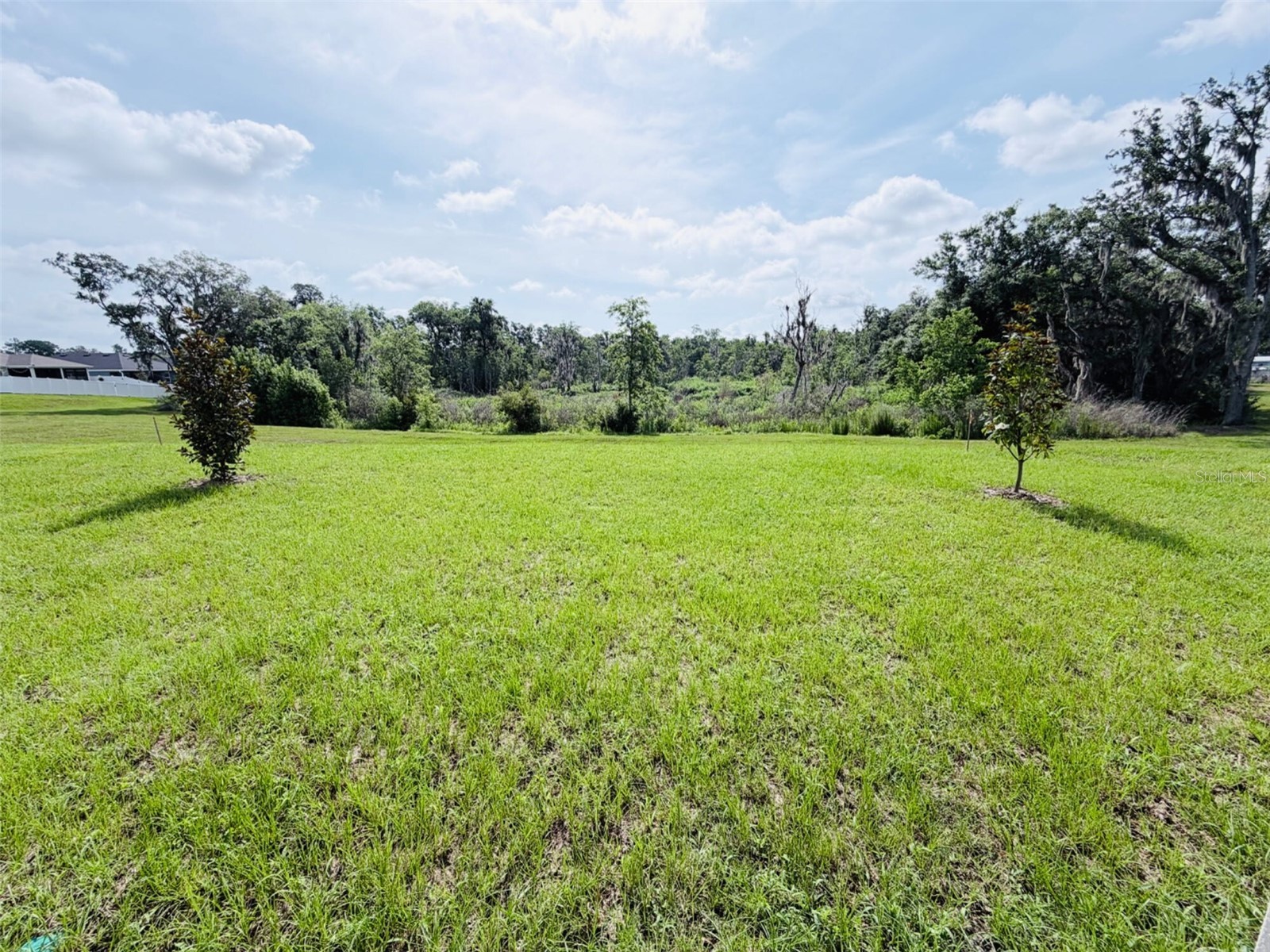 5537 Creek Haven Way Lakeland FL 33810 L4962489 image24