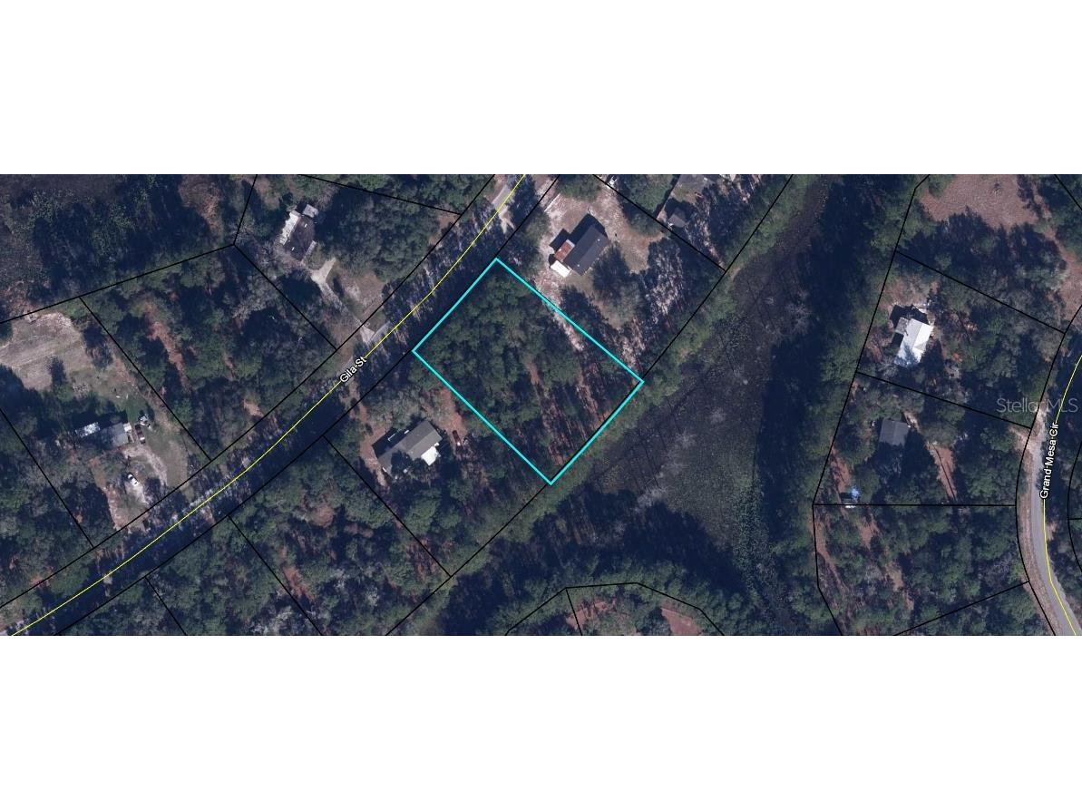 5537 Gila Street Keystone Heights FL 32656 W7843026 image1