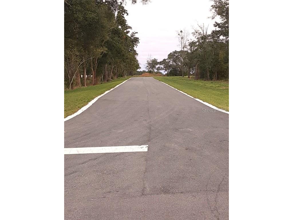 5537 Panoramic View Drive Apopka FL 32712 G5076291 image6