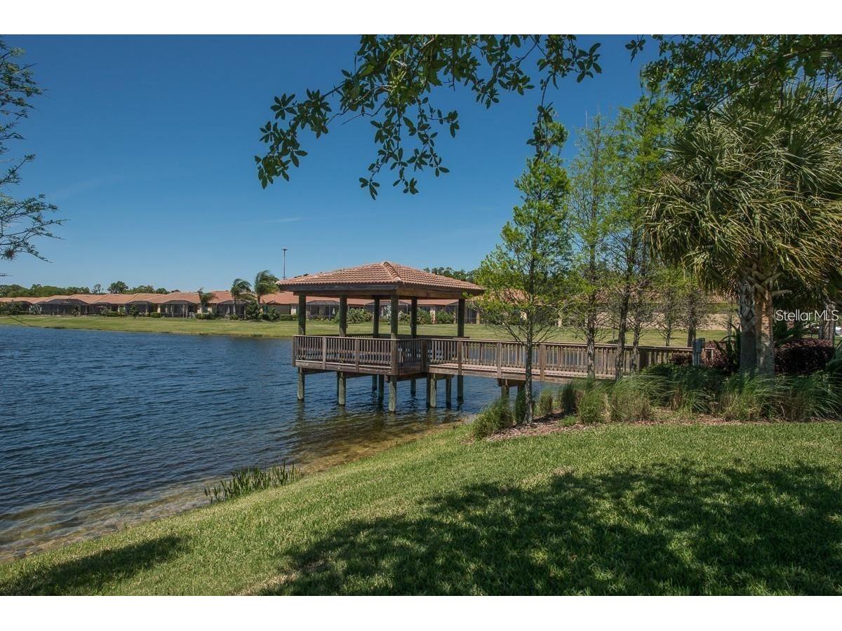 5537 Sunset Falls Drive Apollo Beach FL 33572 TB8487528 image79