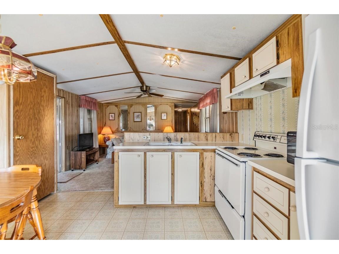 5538 Antigua Drive Zephyrhills FL 33541 TB8347466 image11