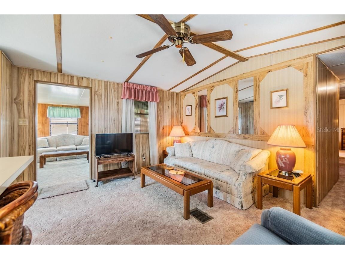 5538 Antigua Drive Zephyrhills FL 33541 TB8347466 image19