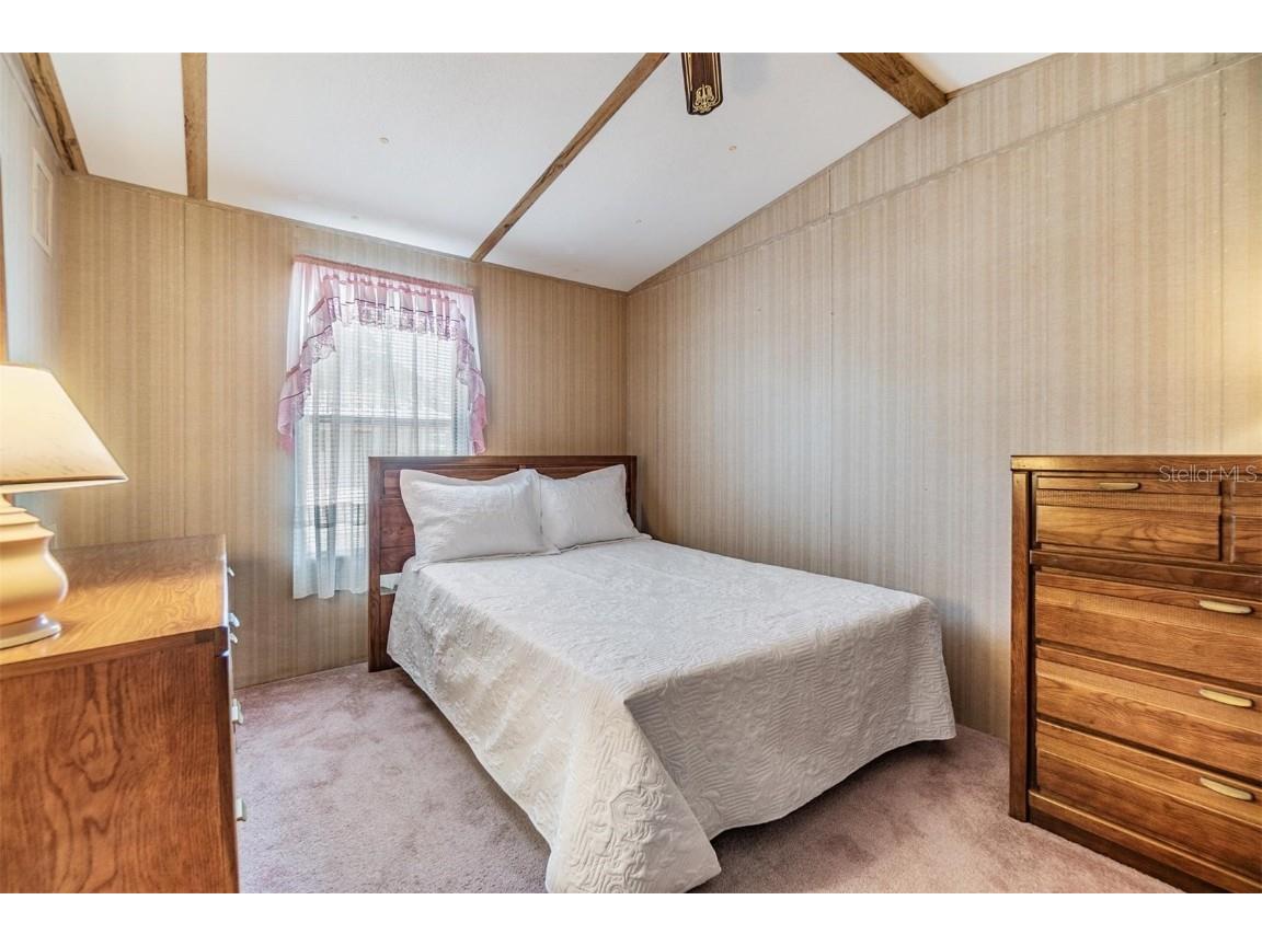 5538 Antigua Drive Zephyrhills FL 33541 TB8347466 image20