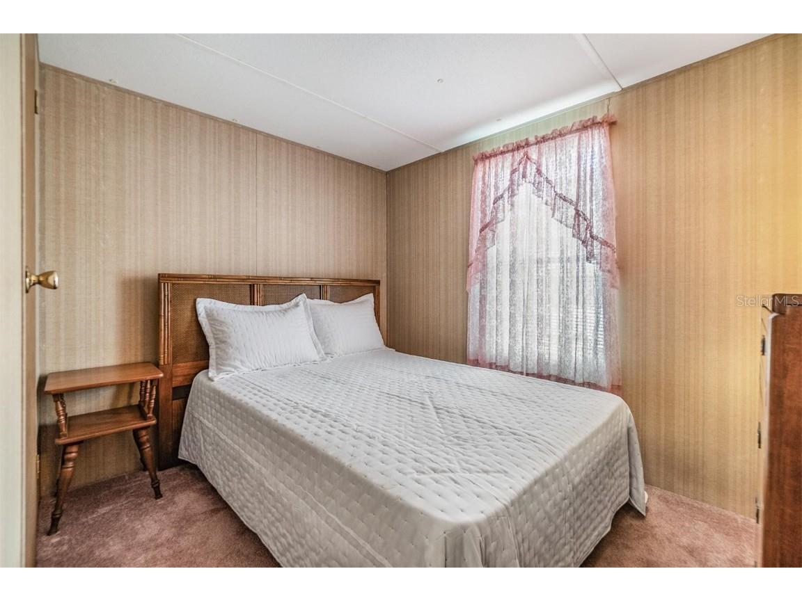 5538 Antigua Drive Zephyrhills FL 33541 TB8347466 image22