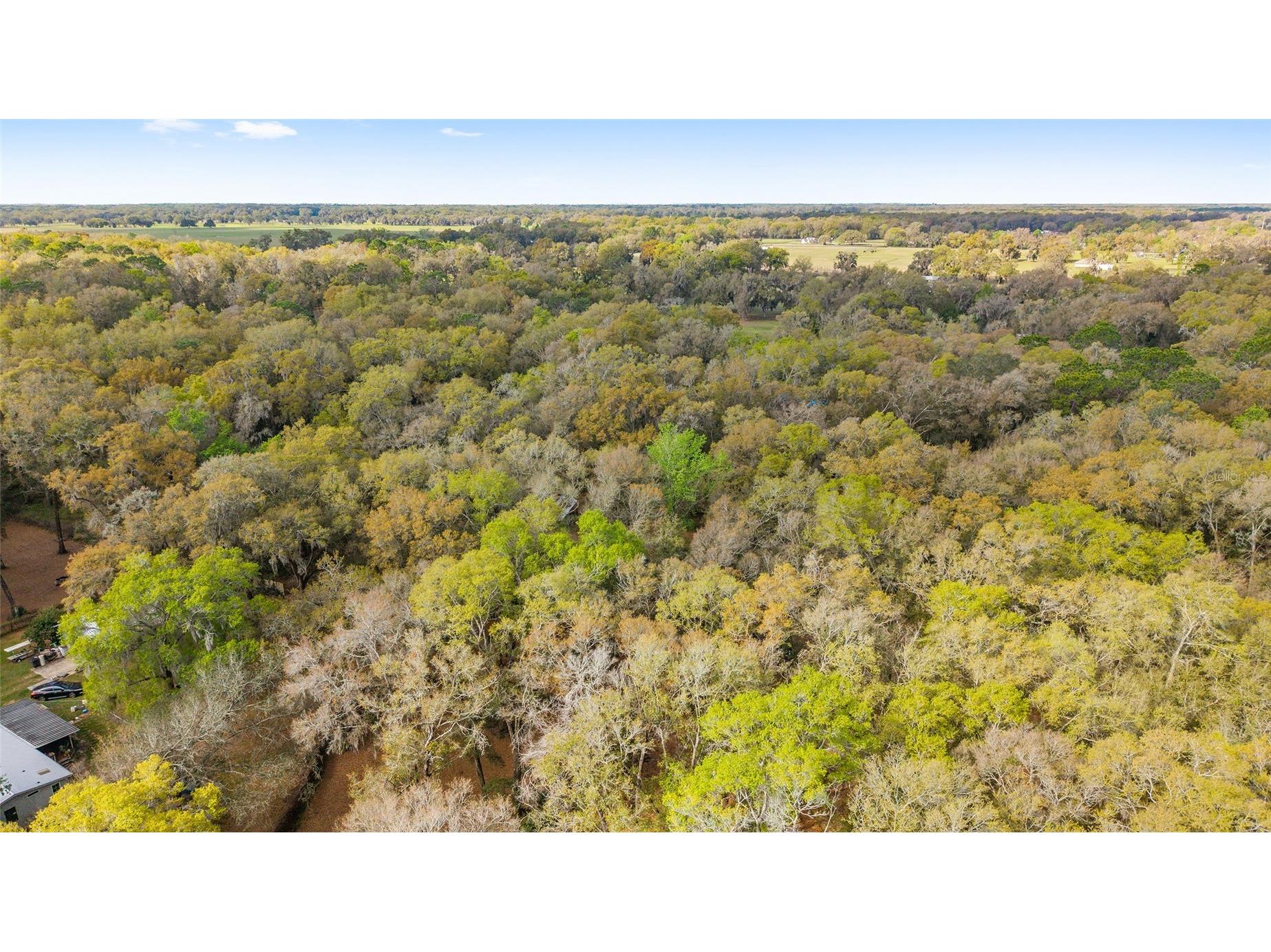 5538 SE Highway 42 Summerfield FL 34491 OM716062 image41