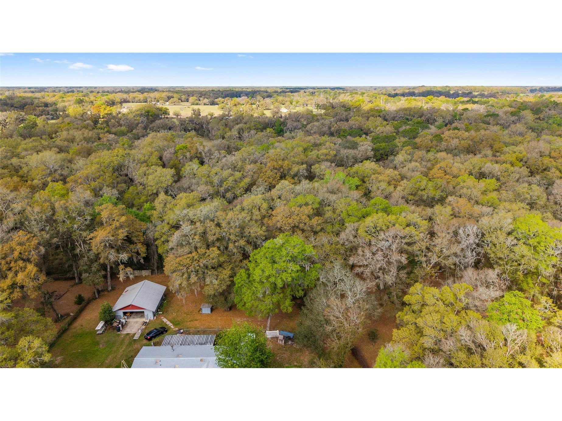 5538 SE Highway 42 Summerfield FL 34491 OM716062 image42
