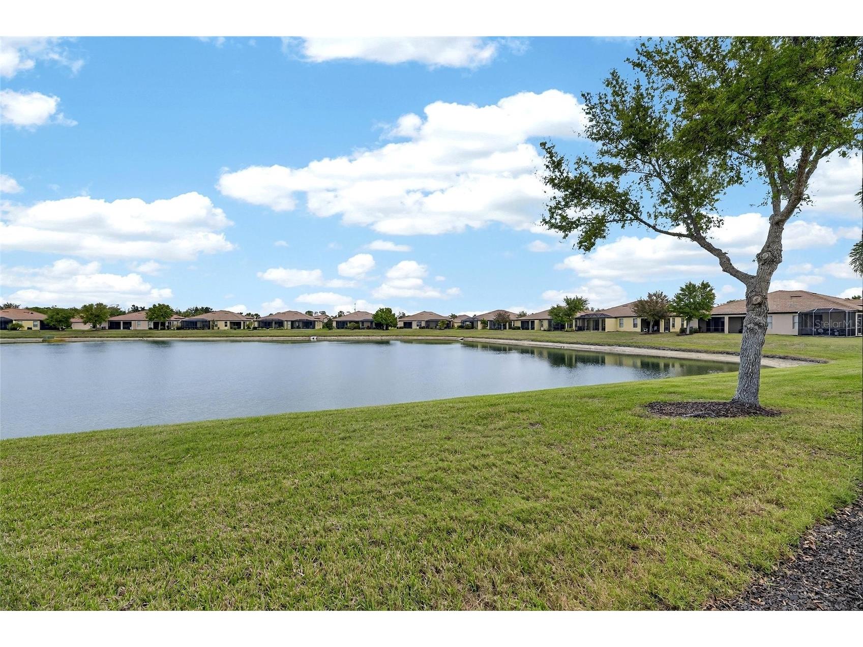 5538 Sunset Falls Drive Apollo Beach FL 33572 TB8489323 image44