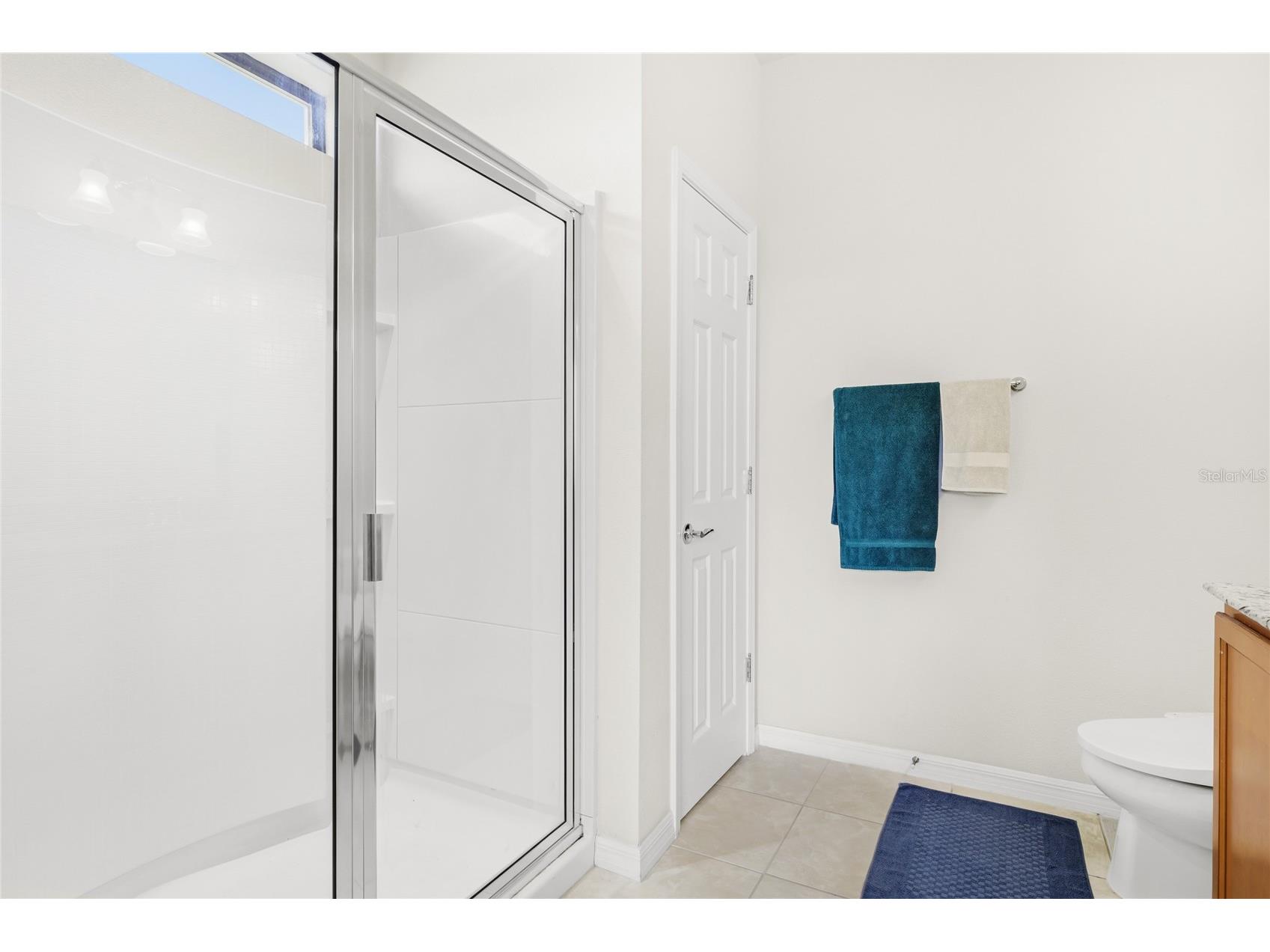 5539 107th Terrace E Parrish FL 34219 A4684936 image15