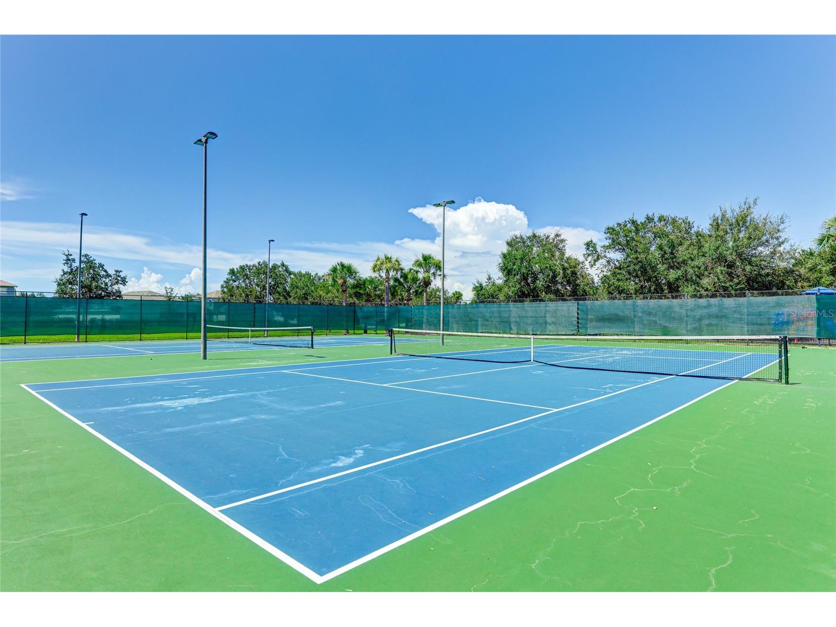 5539 107th Terrace E Parrish FL 34219 A4684936 image49