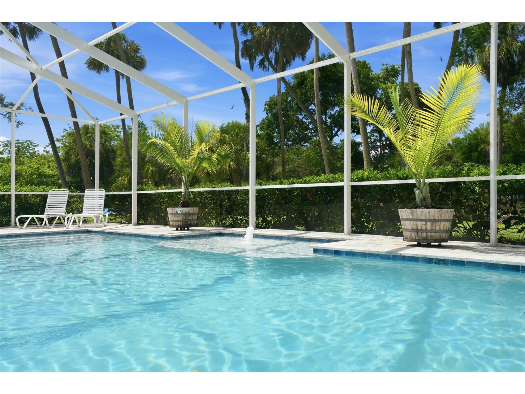 5539 Delaware Avenue New Port Richey FL 34652 TB8509854 image40