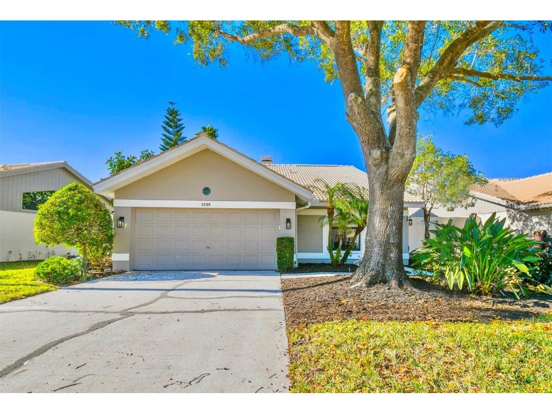 5539 Greyston Street Palm Harbor FL 34685 U8188752 image1