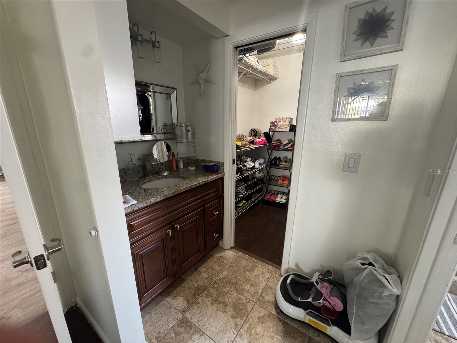 5539 Pentail Circle Tampa FL 33625 TB8478594 image16
