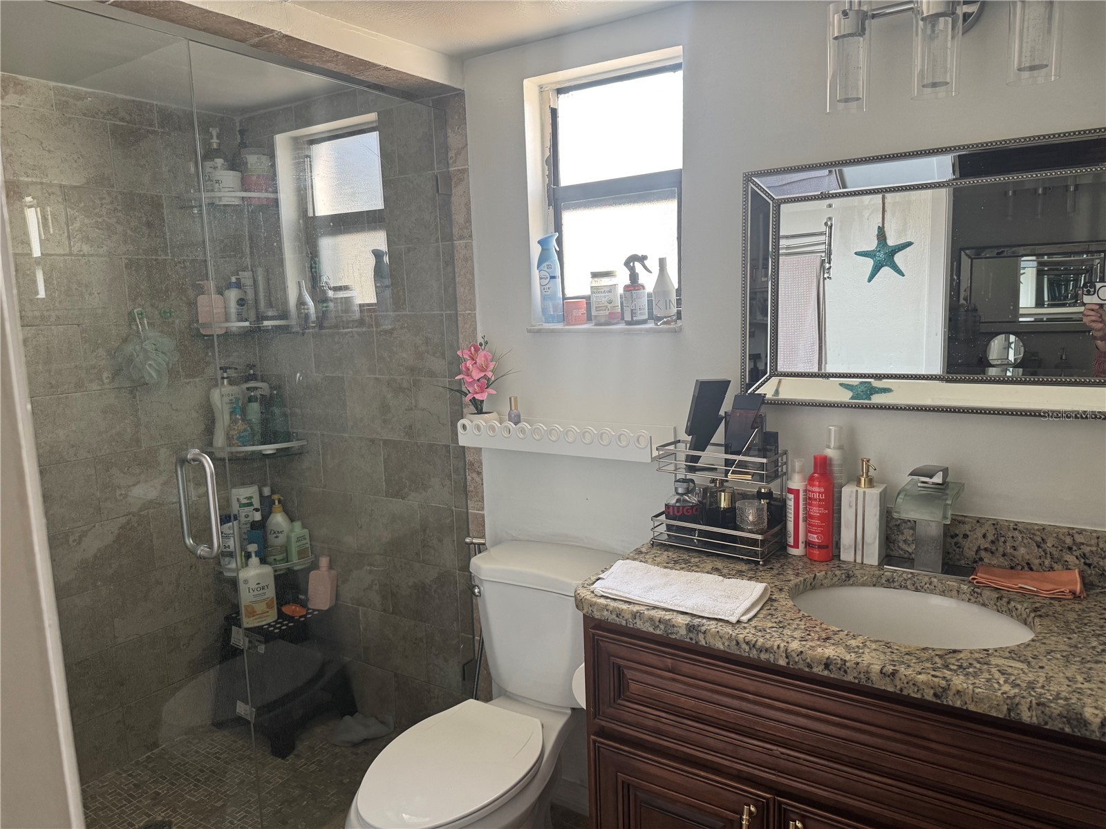 5539 Pentail Circle Tampa FL 33625 TB8478594 image20