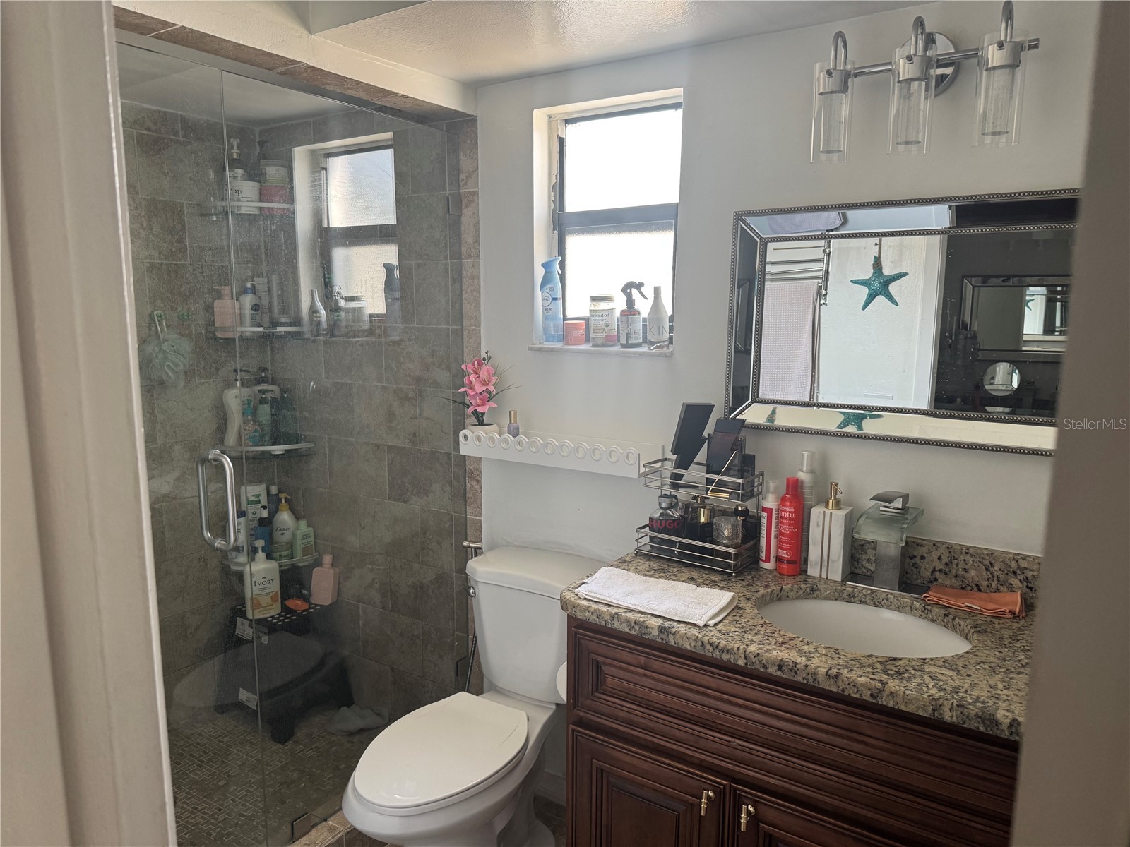 5539 Pentail Circle Tampa FL 33625 TB8478594 image21