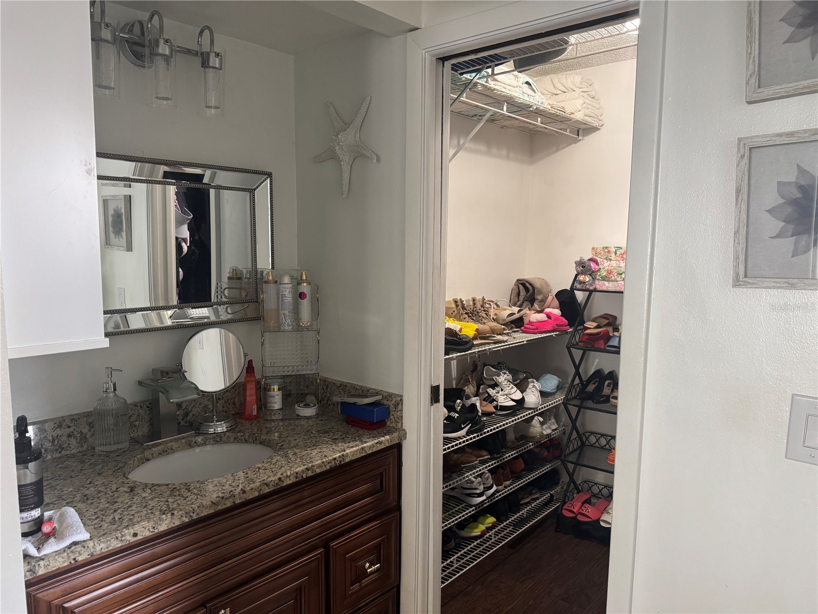 5539 Pentail Circle Tampa FL 33625 TB8478594 image23