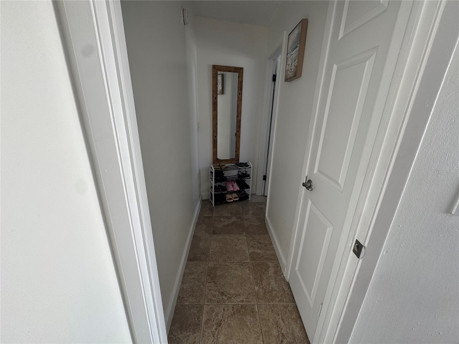 5539 Pentail Circle Tampa FL 33625 TB8478594 image41