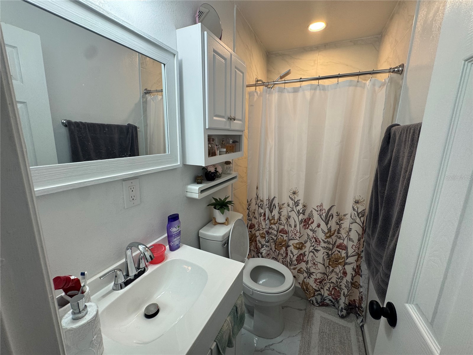 5539 Pentail Circle Tampa FL 33625 TB8478594 image53