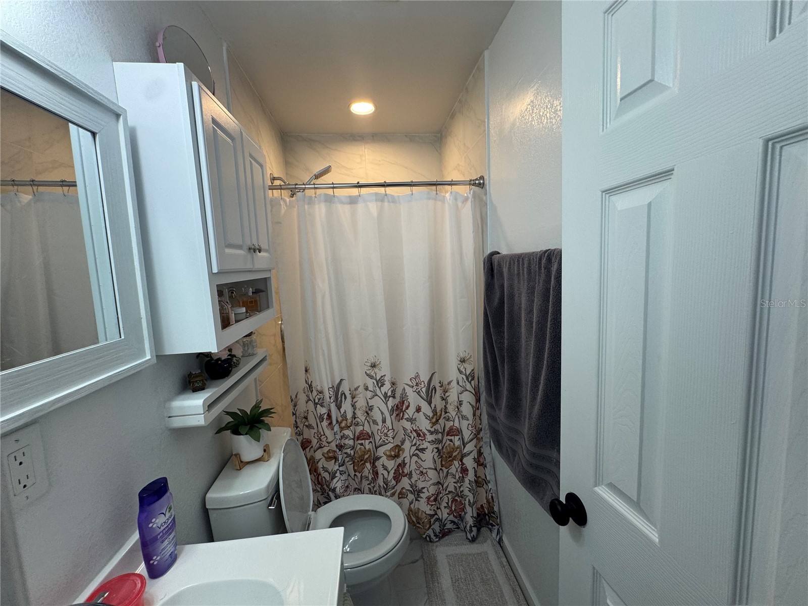 5539 Pentail Circle Tampa FL 33625 TB8478594 image54