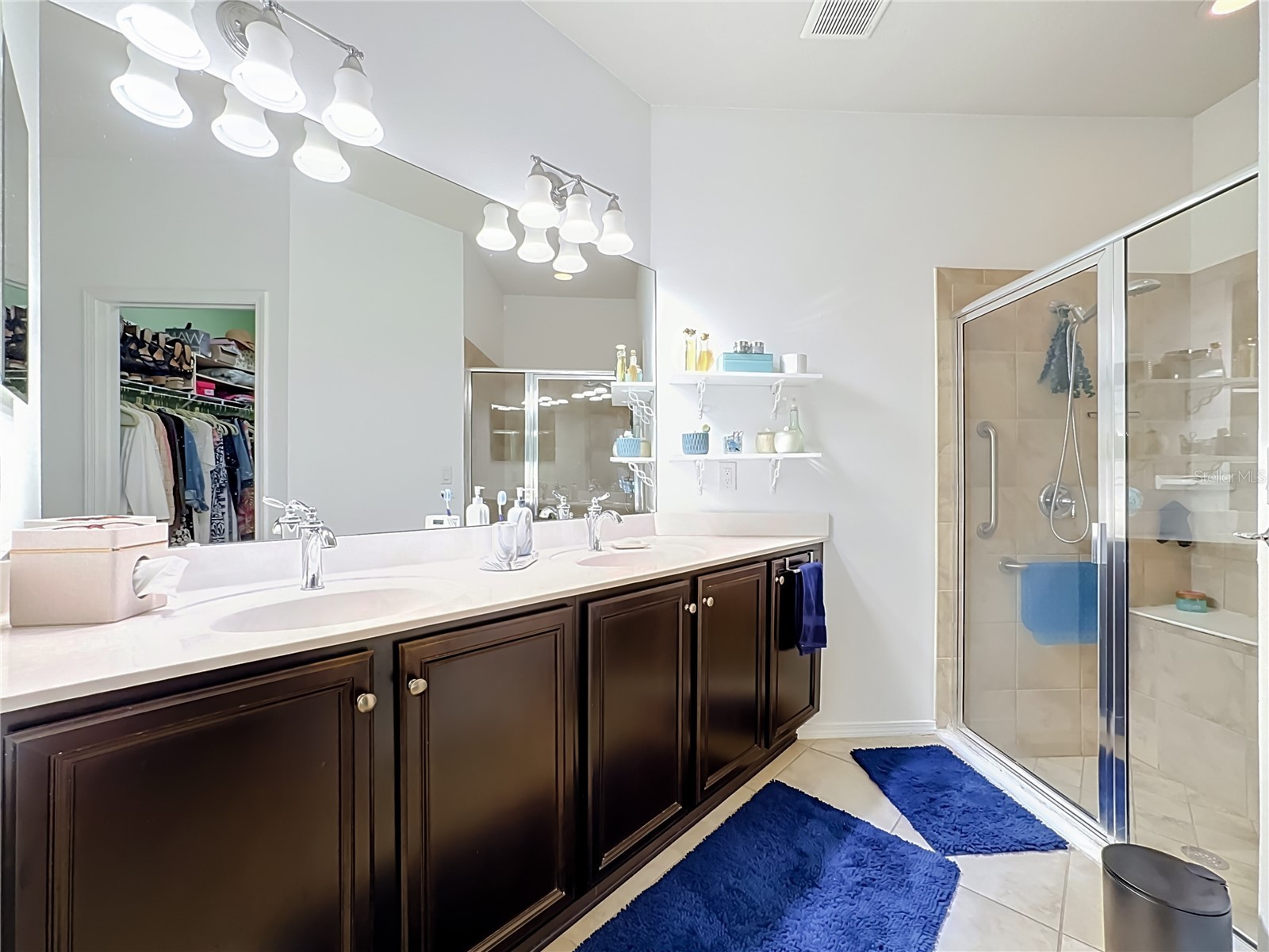 5539 Sunset Falls Drive Apollo Beach FL 33572 TB8521693 image27