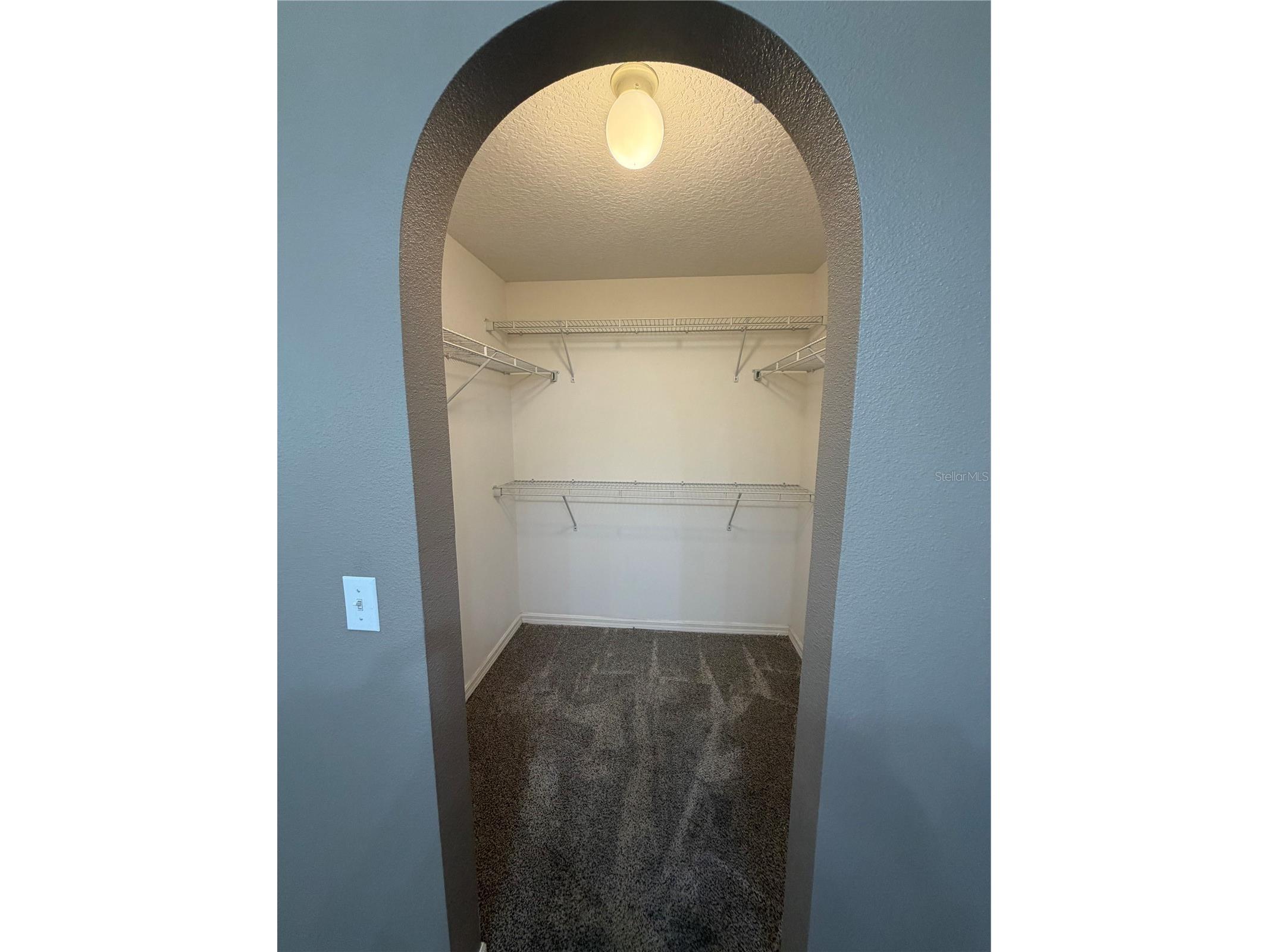 5539 Sycamore Canyon Drive Kissimmee FL 34758 O6407574 image13