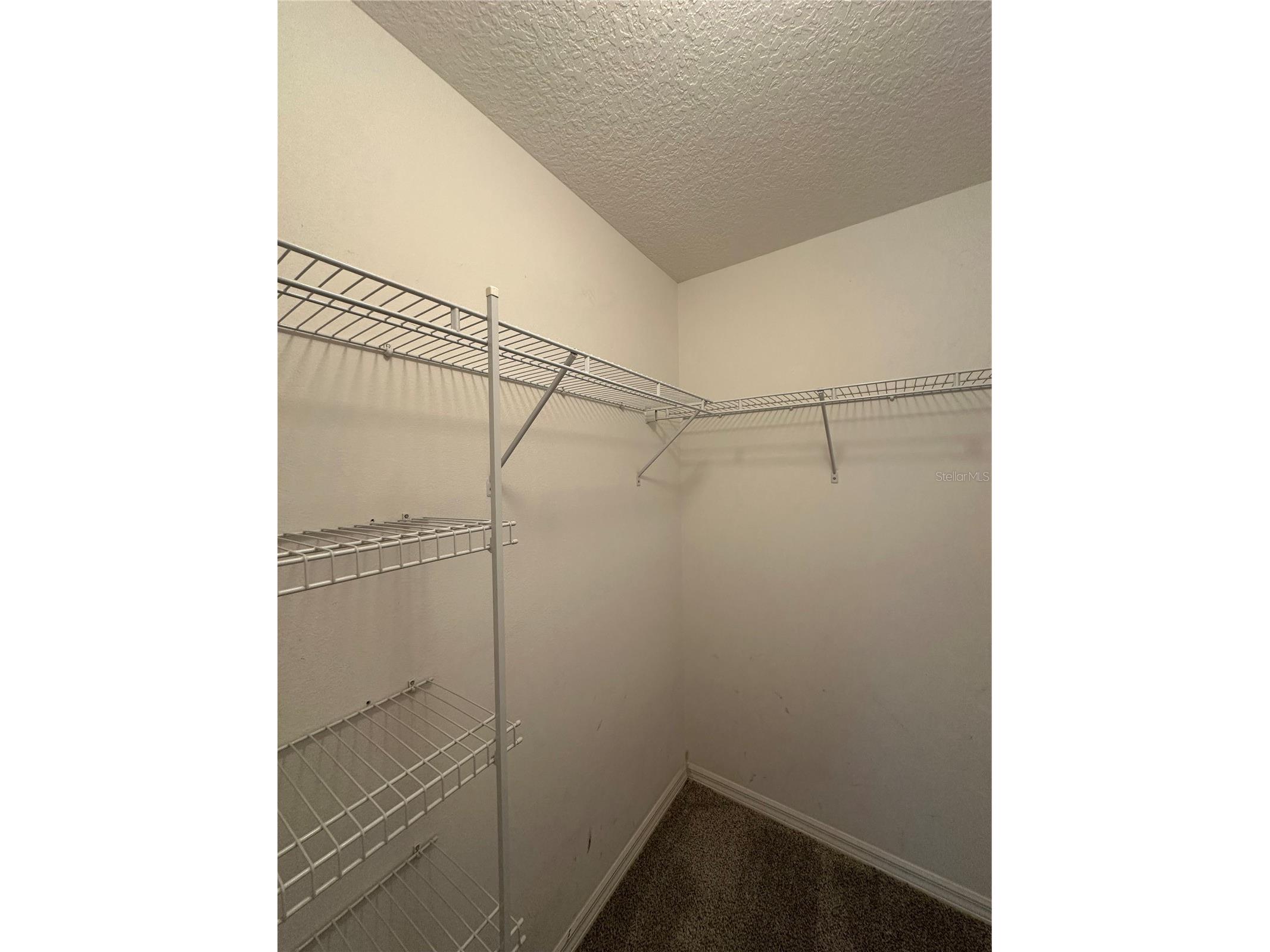 5539 Sycamore Canyon Drive Kissimmee FL 34758 O6407574 image15