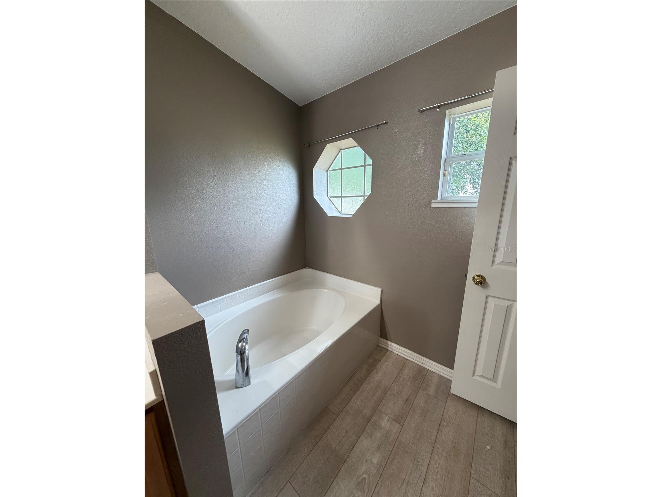 5539 Sycamore Canyon Drive Kissimmee FL 34758 O6407574 image17