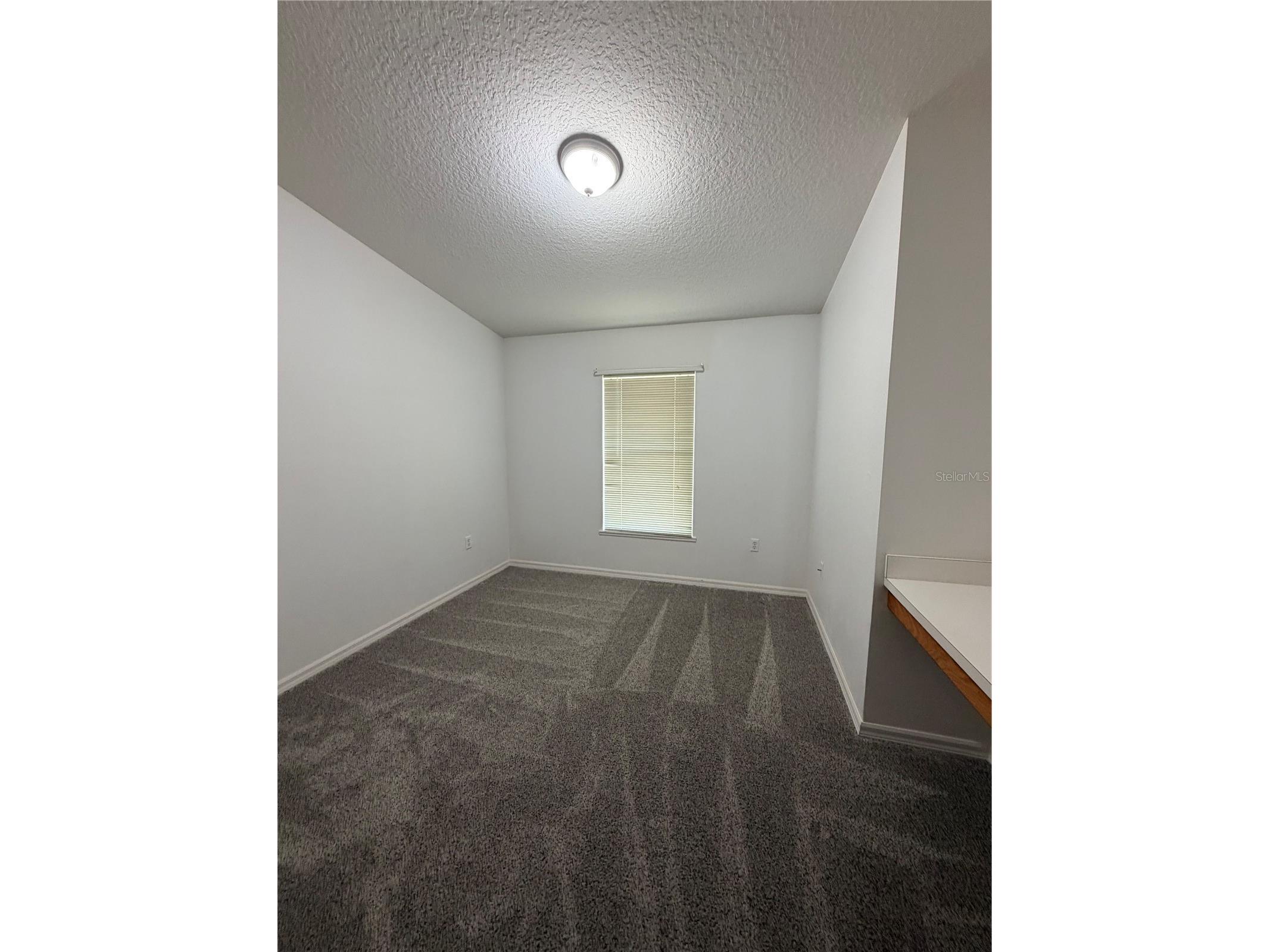 5539 Sycamore Canyon Drive Kissimmee FL 34758 O6407574 image28