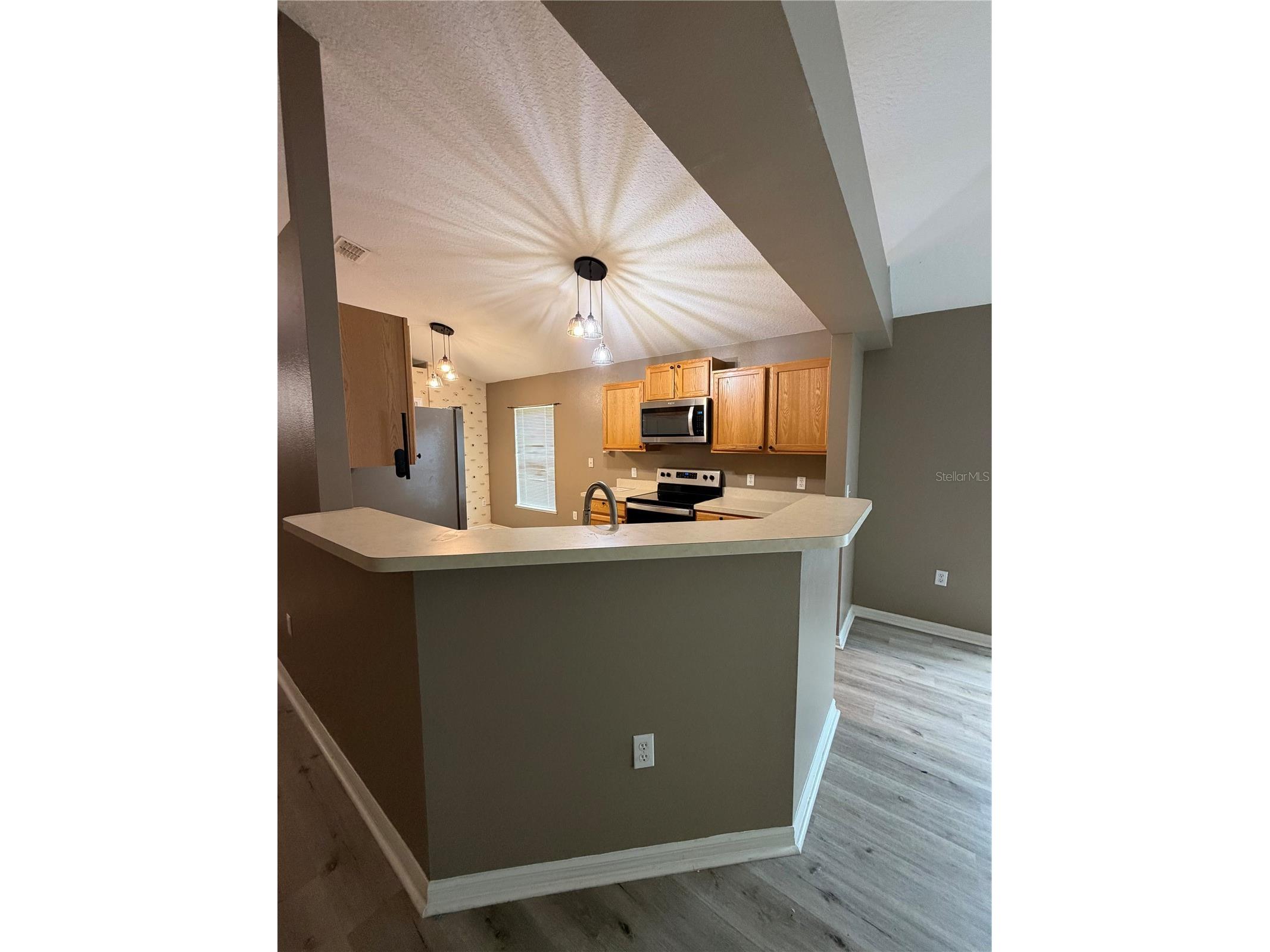 5539 Sycamore Canyon Drive Kissimmee FL 34758 O6407574 image5